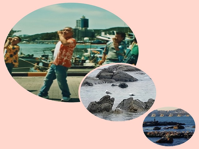 갈매기와 나훈아 춤